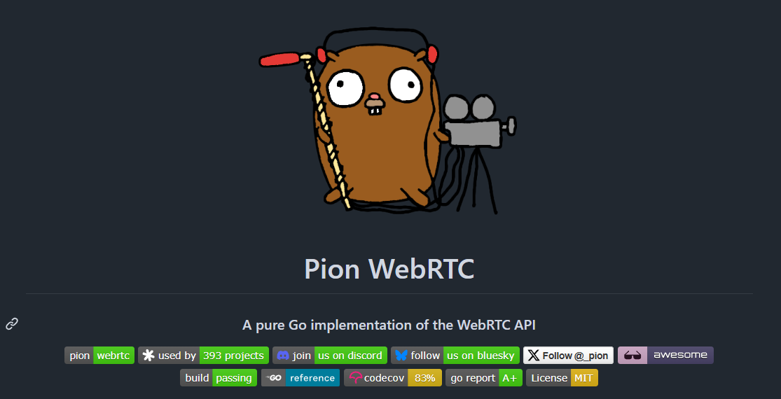 Pion WebRTC:纯 Go 语言 WebRTC 实现库详解 - 功能特性与示例应用